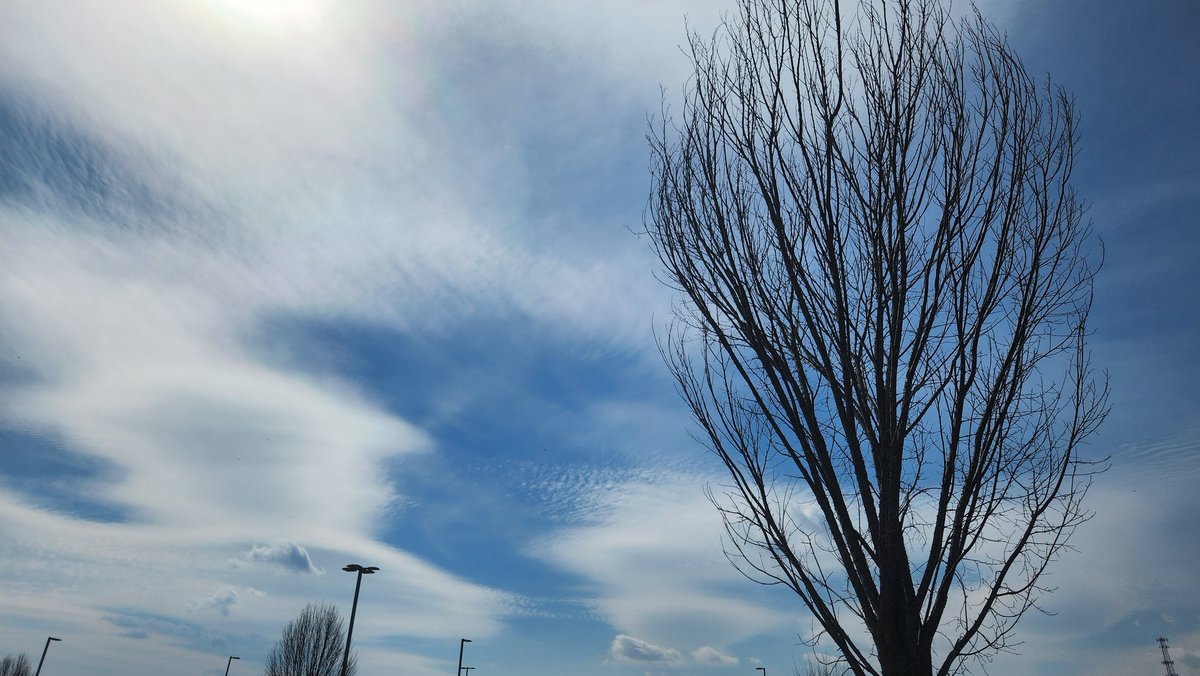 TooLateBlue tweet media