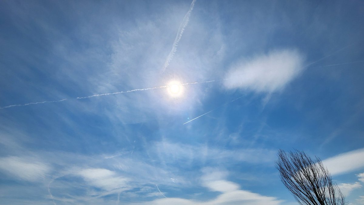 TooLateBlue tweet media