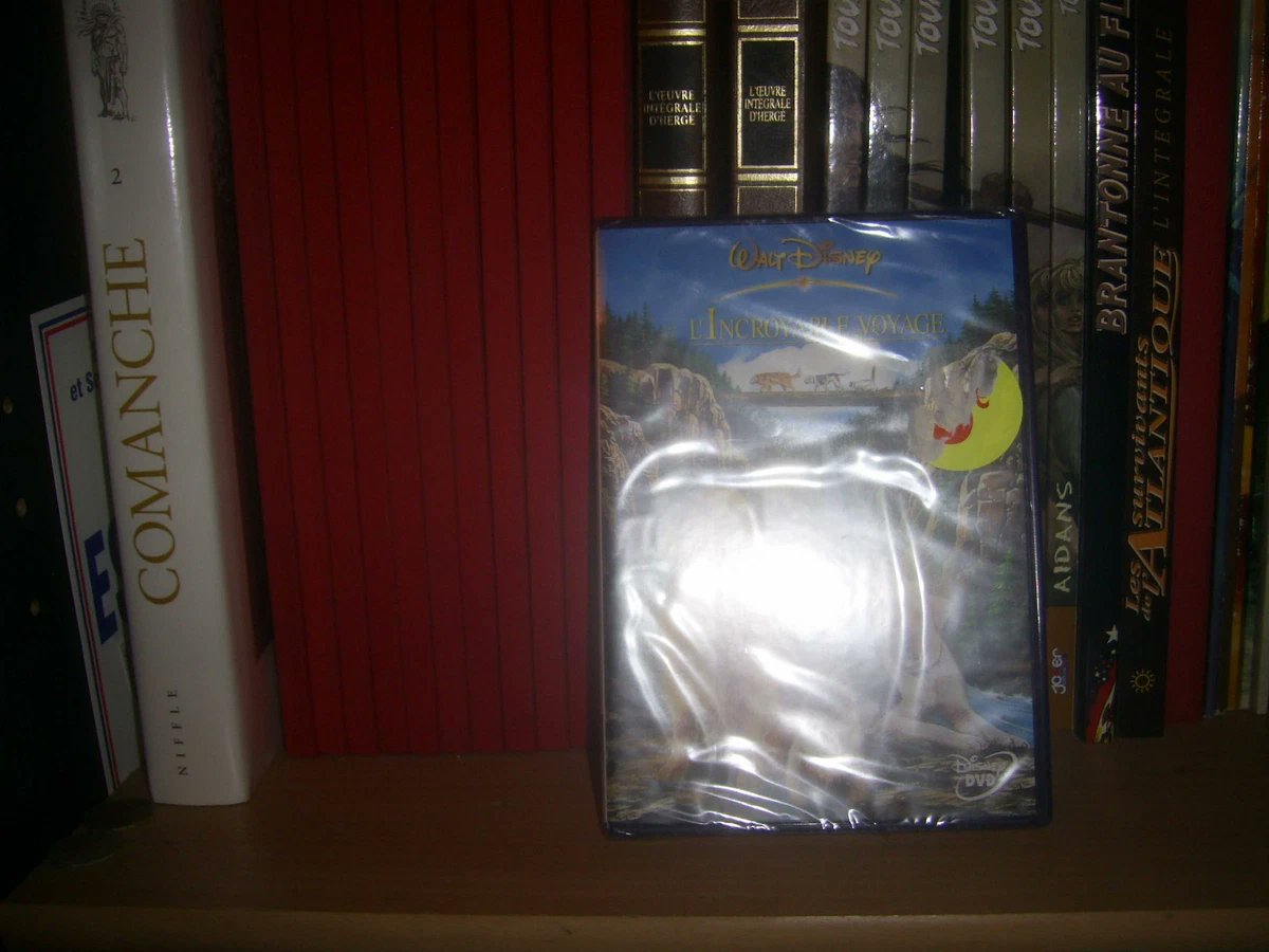 Albert Roubi tweet media