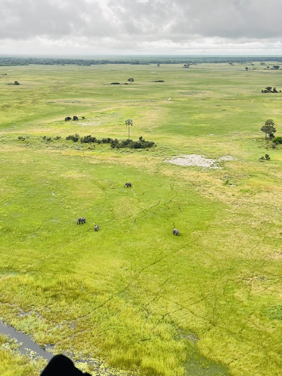 TravelBug🐞 tweet media