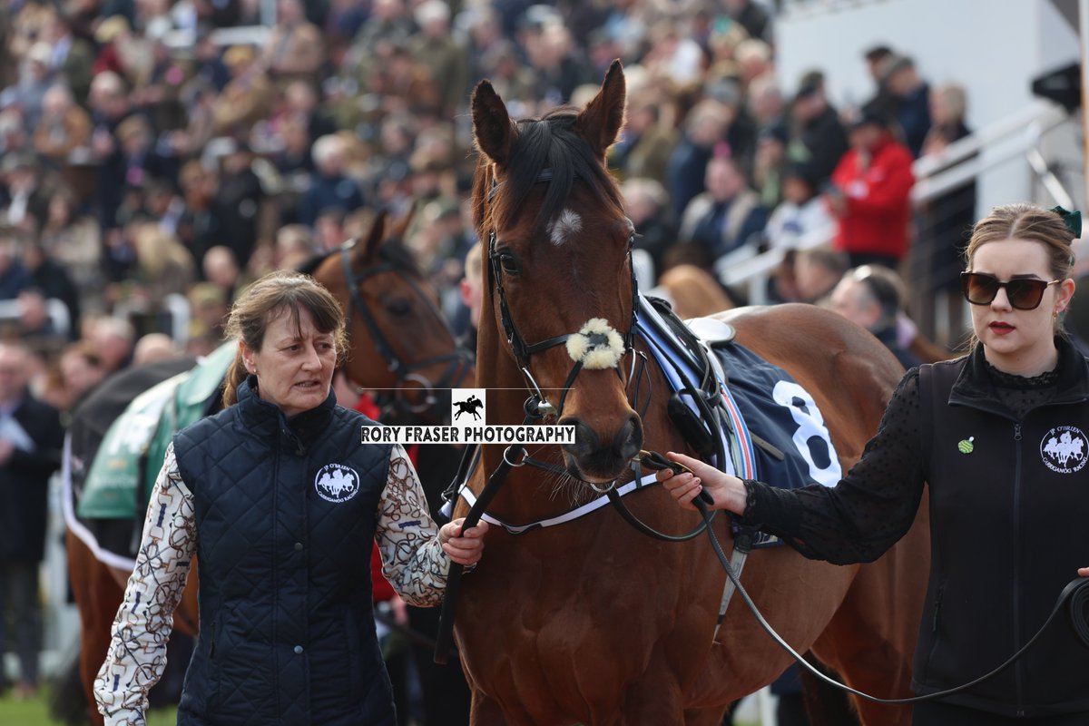 Rory Fraser Photography🤘 tweet media