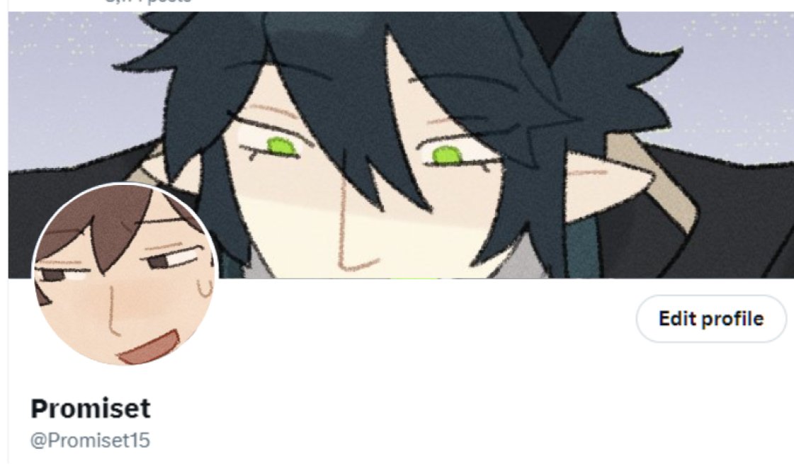 Promiset tweet media