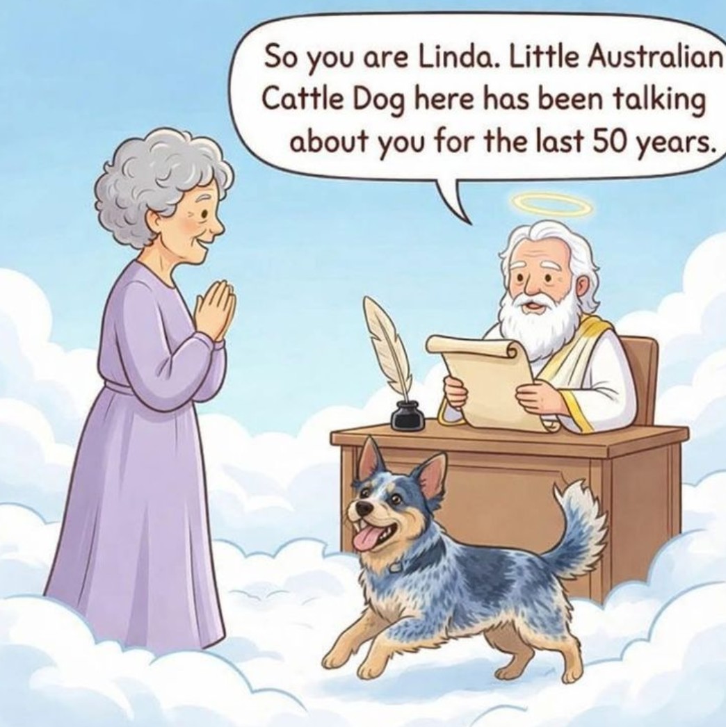 The Dalbo Dog tweet media
