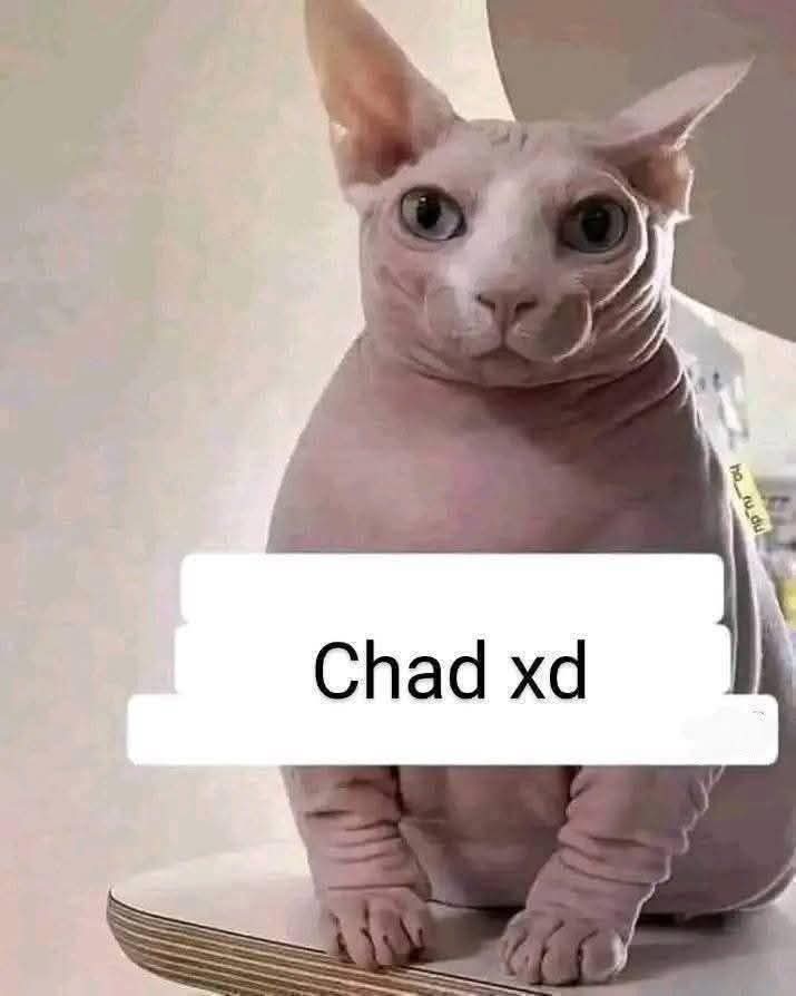 IShowKevin tweet media