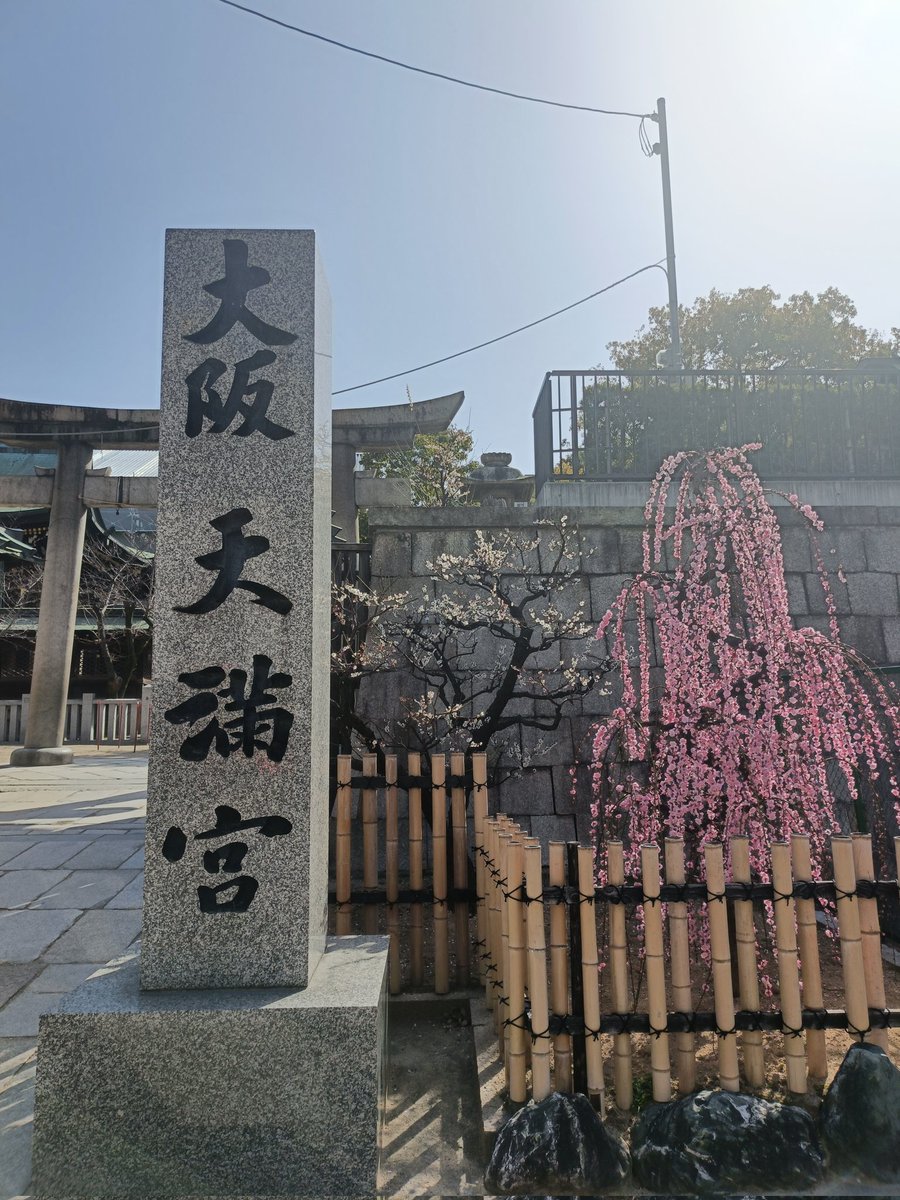 ソナタ14 tweet media