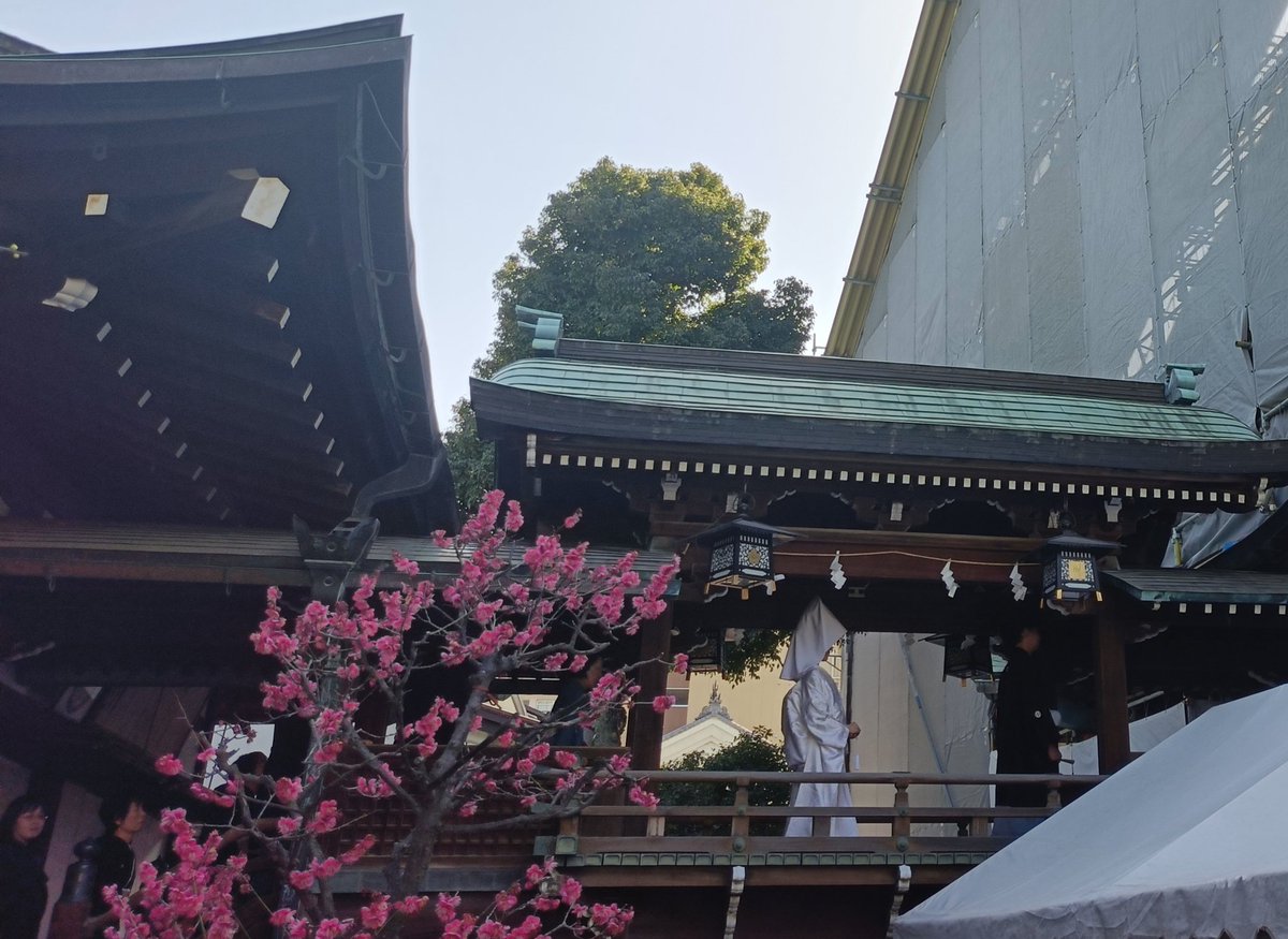 ソナタ14 tweet media