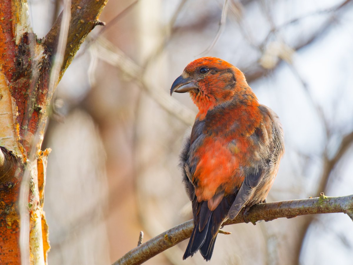 Michael Sanders tweet media