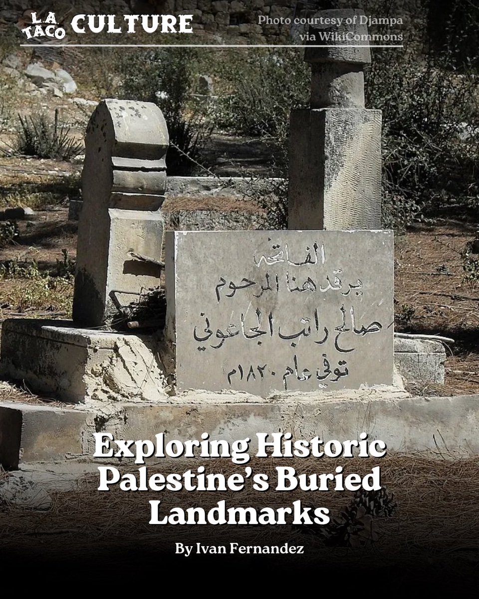 L.A. TACO🌴🌮 tweet media