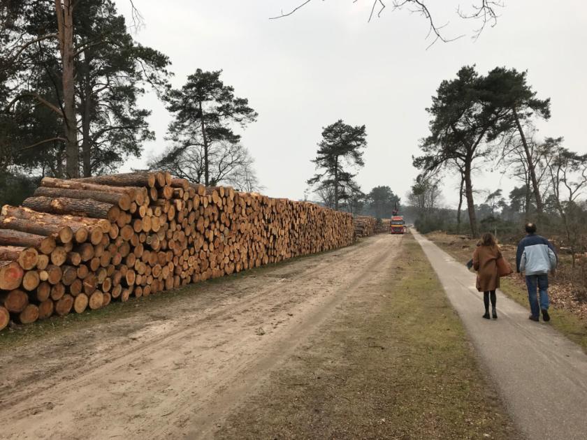 Het Klimaatakkoord eist 37.000 ha extra bos in NL in 2030 voor versterking biodiversiteit. <a href="/LandschapOV/">Landschap Overijssel</a> kapte #Lemelerberg honderden ha gezonde bomen en groef bovengrond boordevol biologisch leven af tot een dorre lege vlakte. Dit heet dan "natuurherstel".