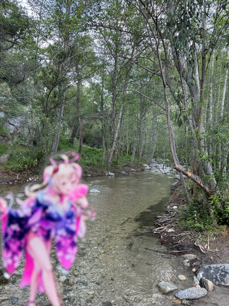 Ryuuda💒🪽 tweet media