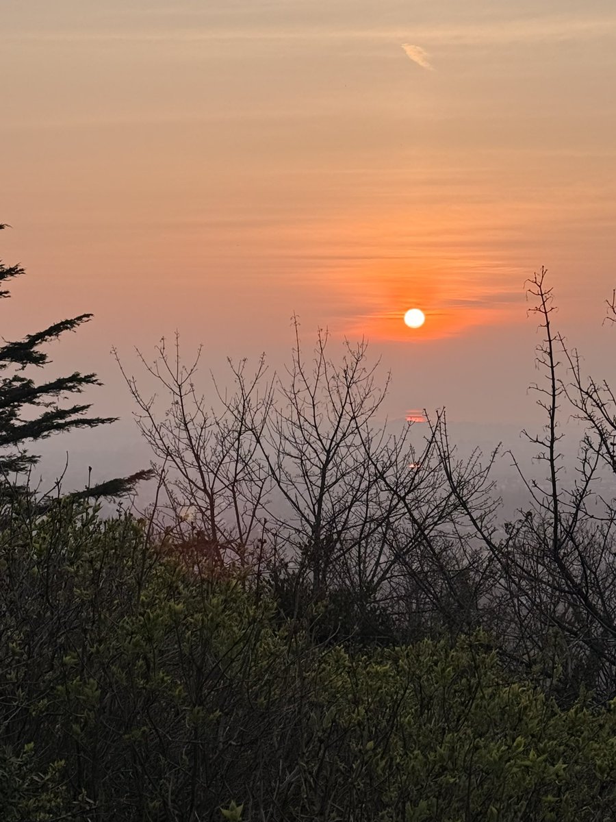 TheJPEGGallery ⌐◨-◨ tweet media