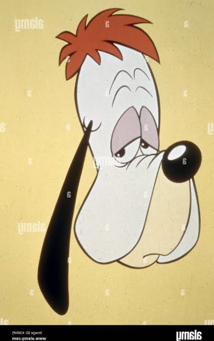 PJ Pesce tweet media