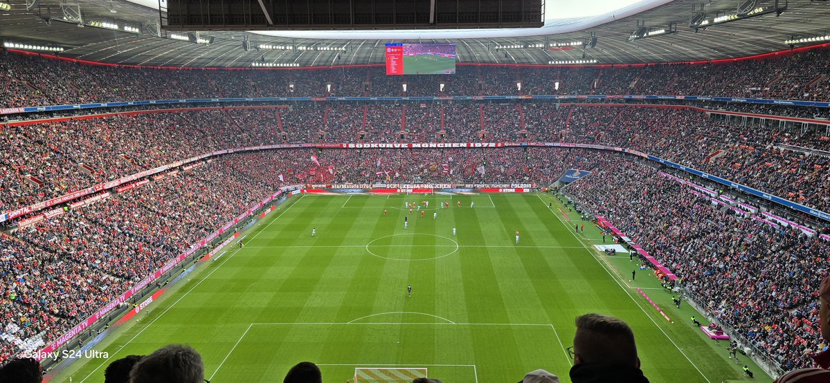 Fridolin tweet media