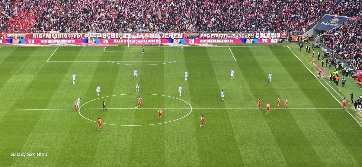 Fridolin tweet media