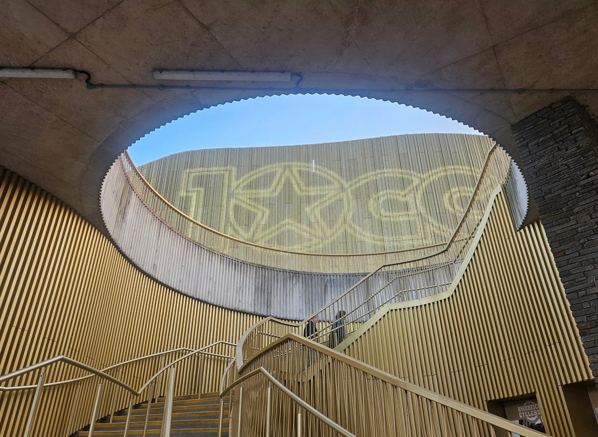 Louvain Rees ⚰️ tweet media