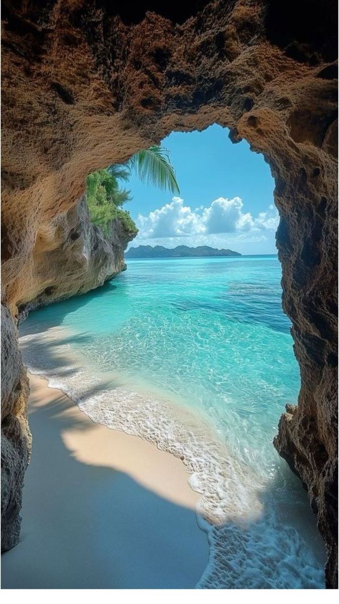 Beauty Explorer tweet media