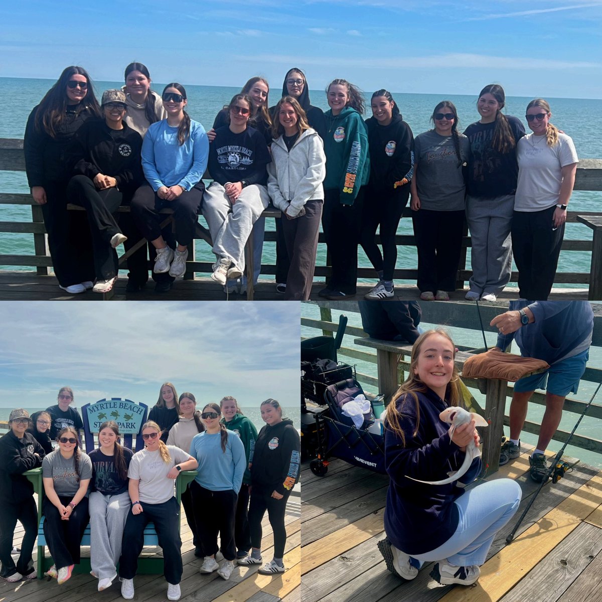 Oakton College Softball tweet media