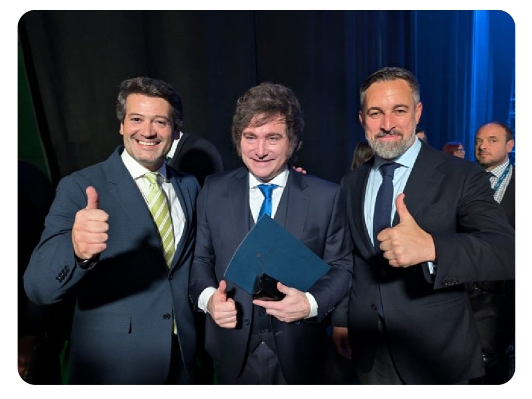 luis de matos tweet media