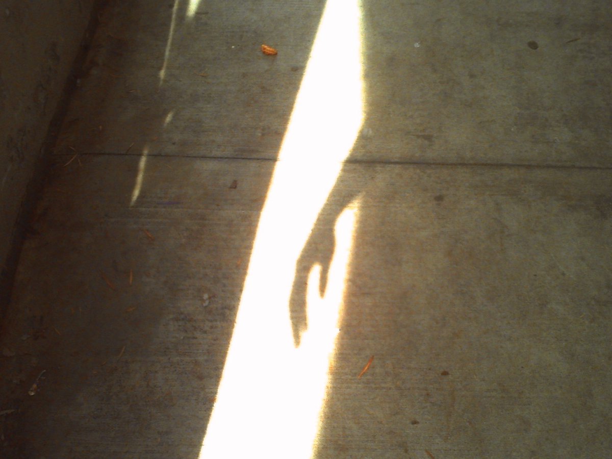 ¹⁹⁹⁶ tweet media