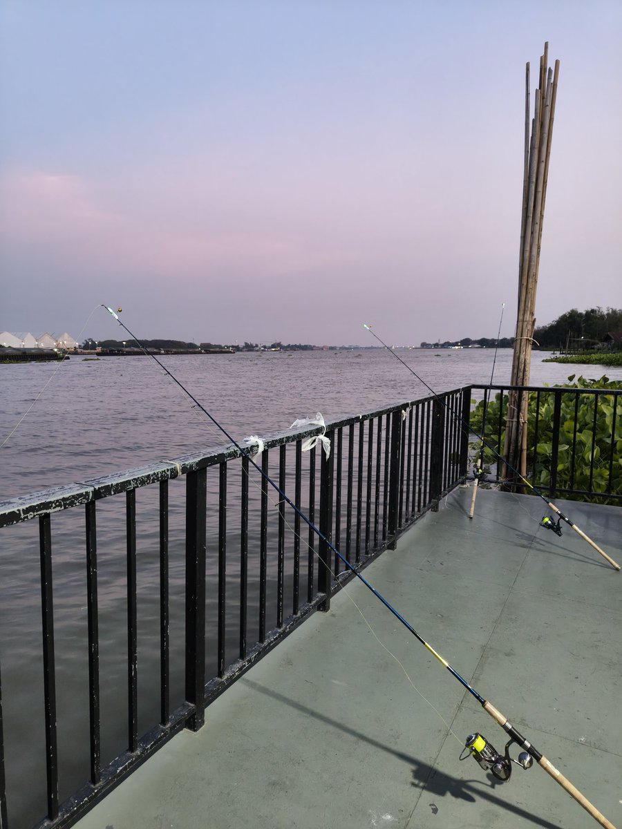 R&F by Swing tweet media