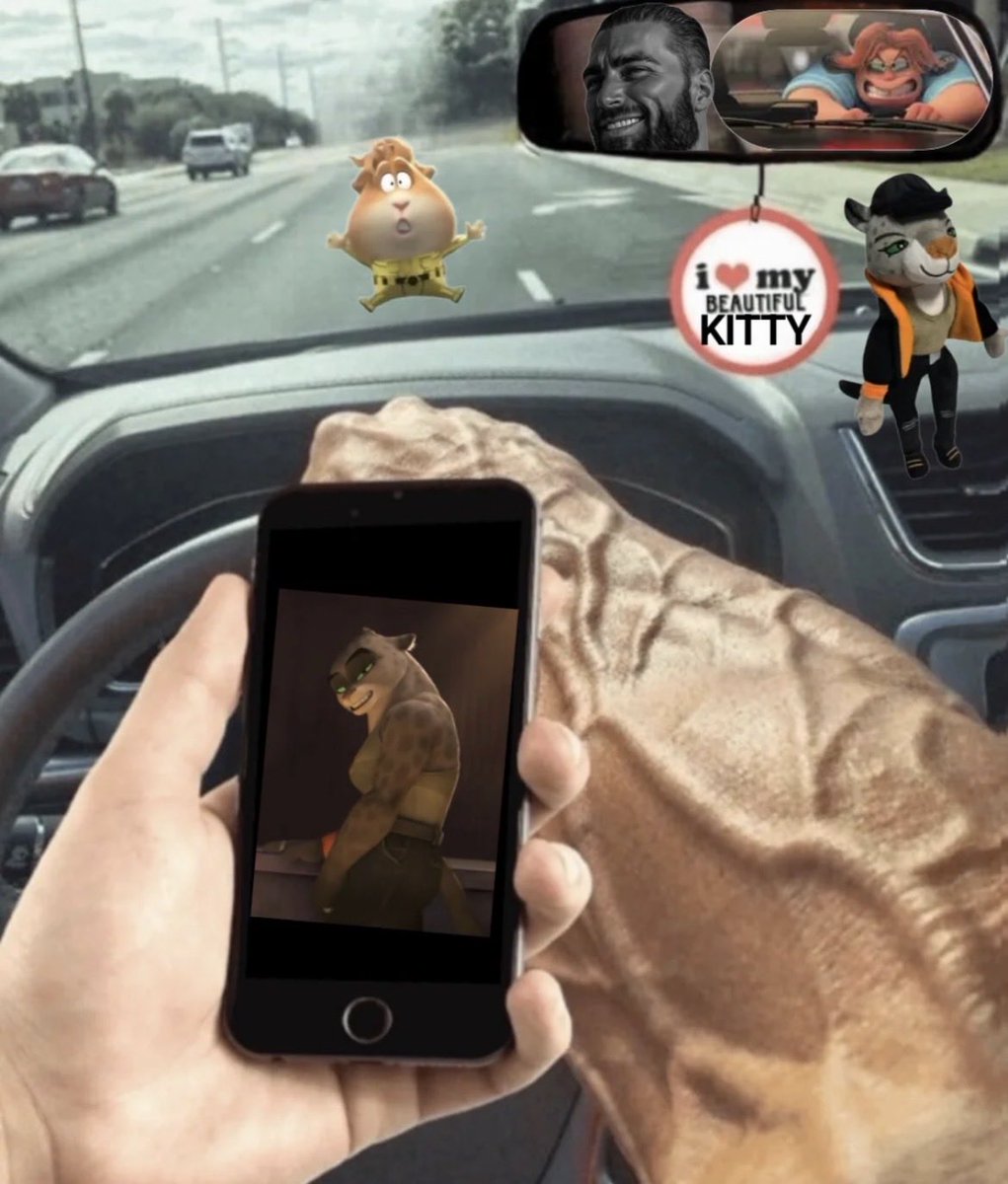 Daily Kitty Kat tweet media