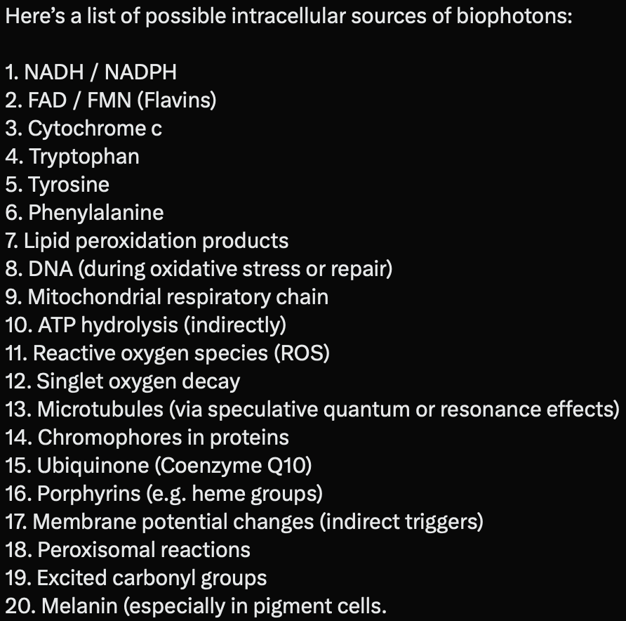 ☣️ Pleb Kruse = BTC foundationalist in exile 🟩🔆 tweet media