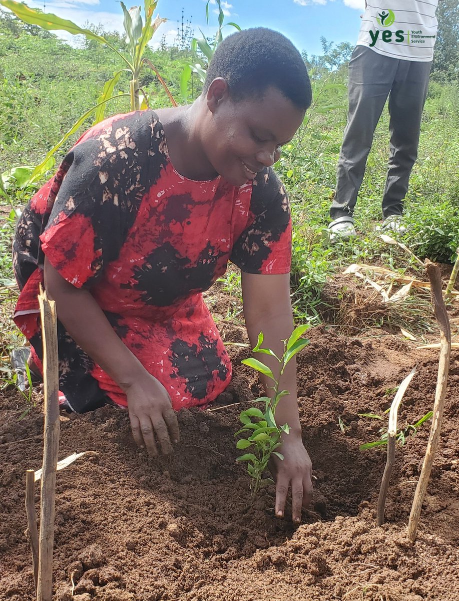 YesBusia tweet media