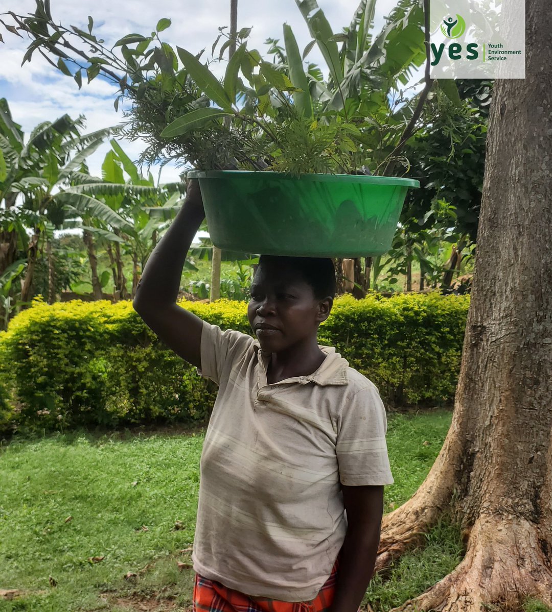 YesBusia tweet media