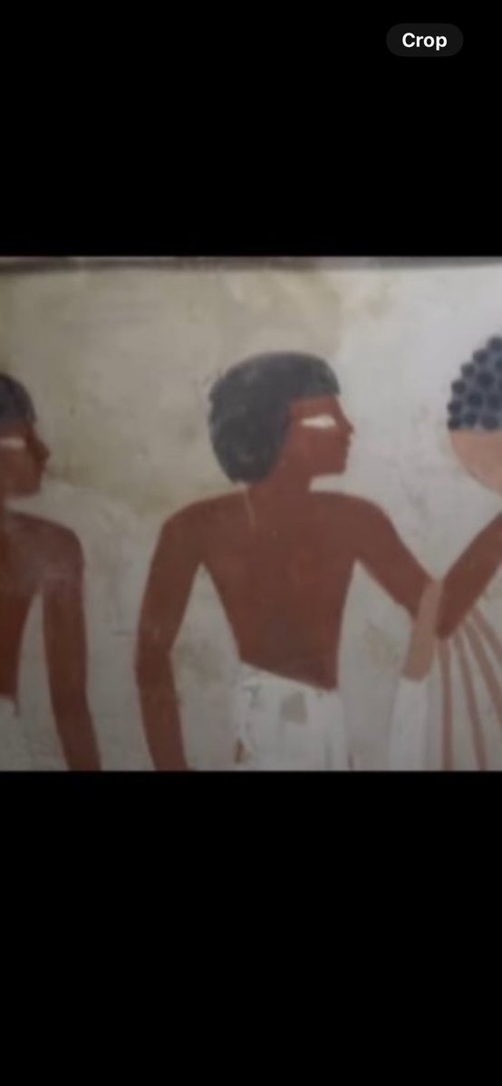 Alex James tweet media