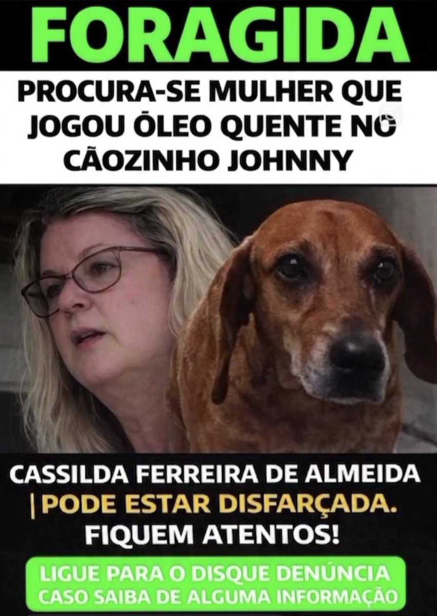 ninagreco1 🐺🥂🧙 tweet media