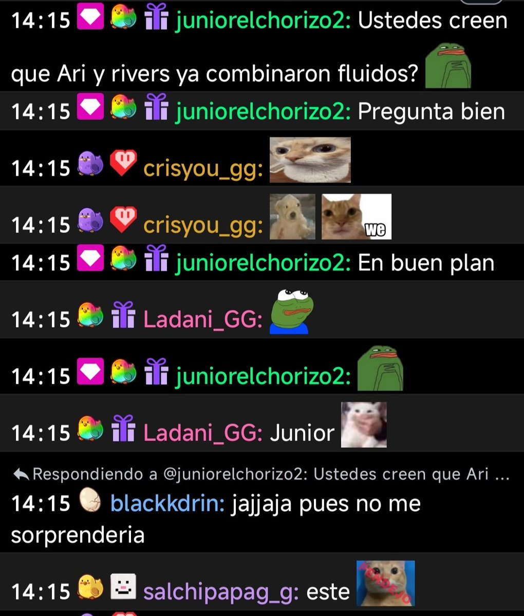 Ladani_gg 🐥🤍 tweet media