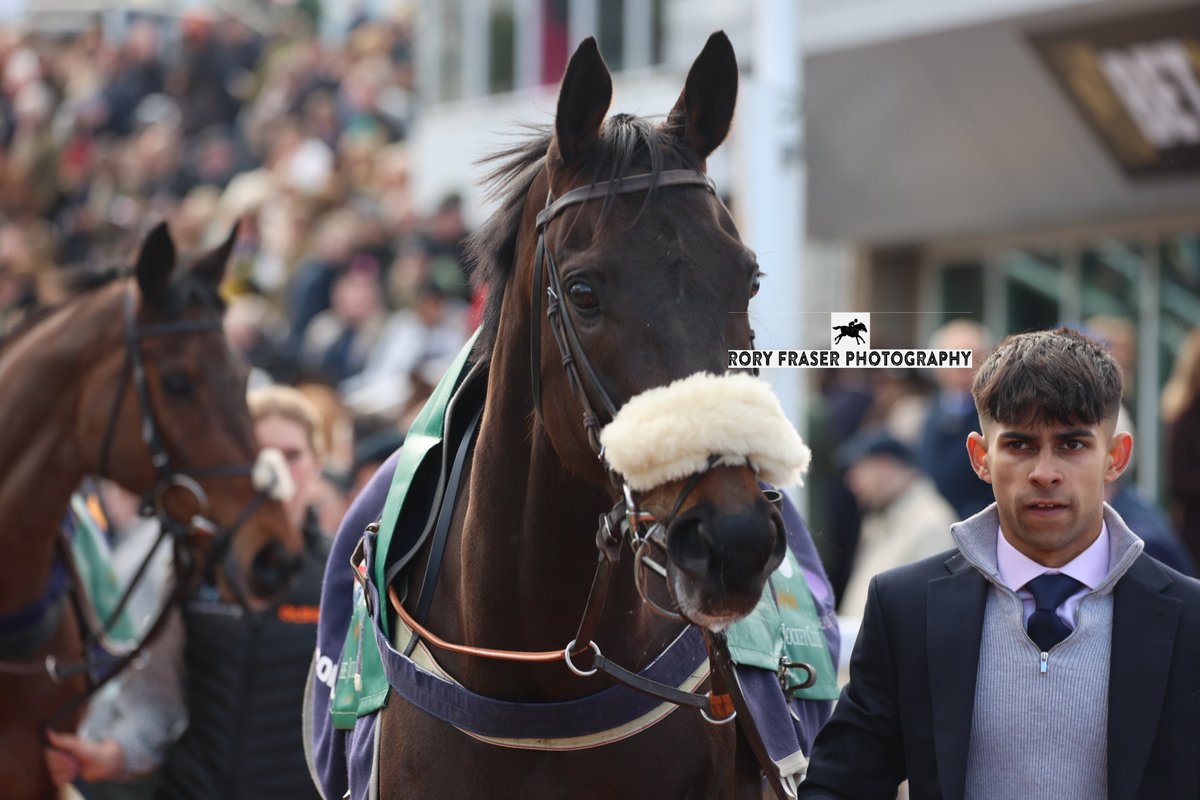 Rory Fraser Photography🤘 tweet media