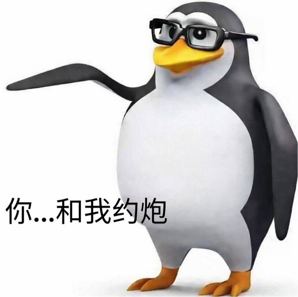 一只淼淼 tweet media