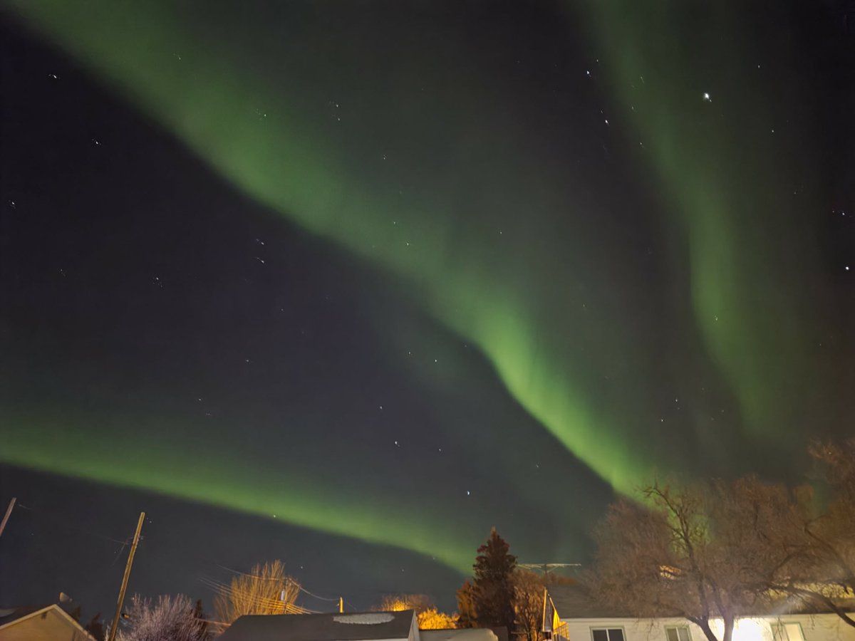 Tanazolam tweet media