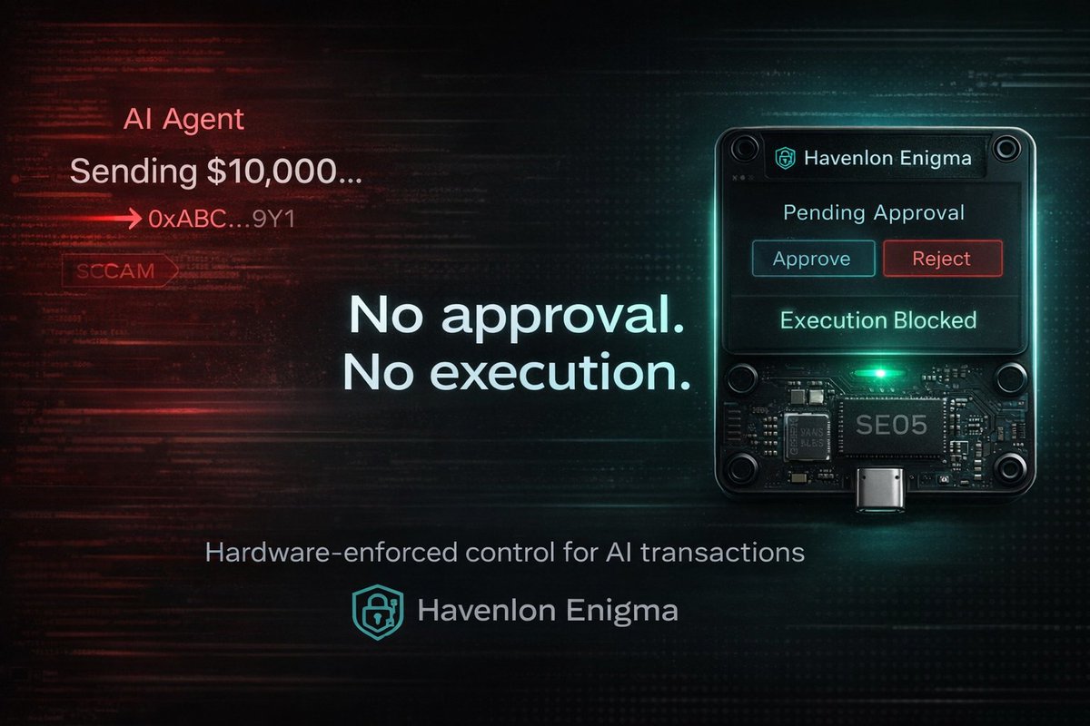 Havenlon tweet media