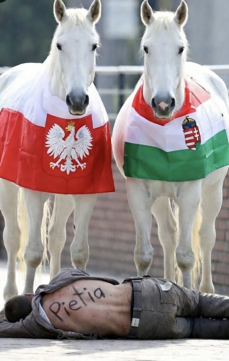 Szczęśliwego tweet media