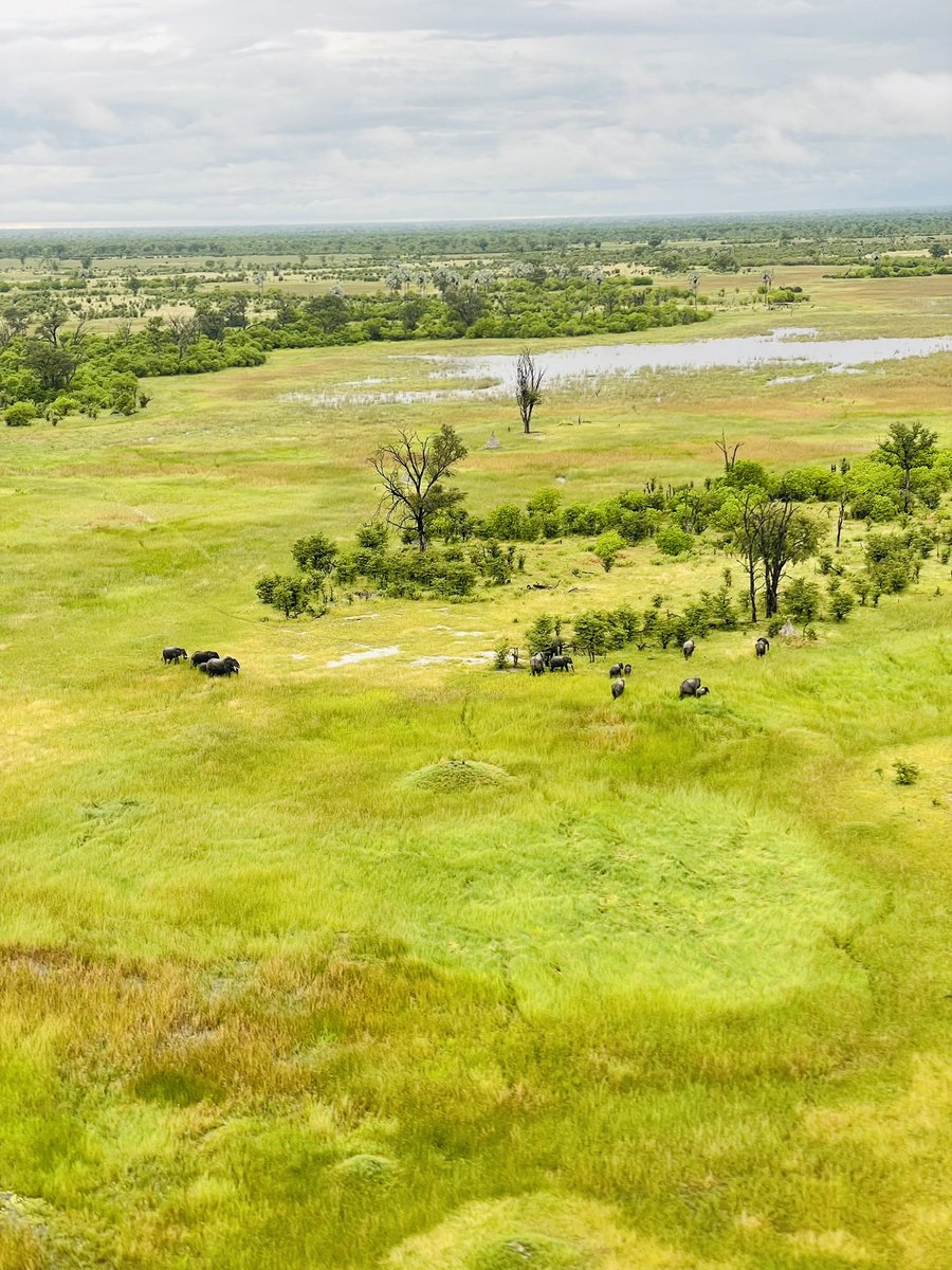 TravelBug tweet media