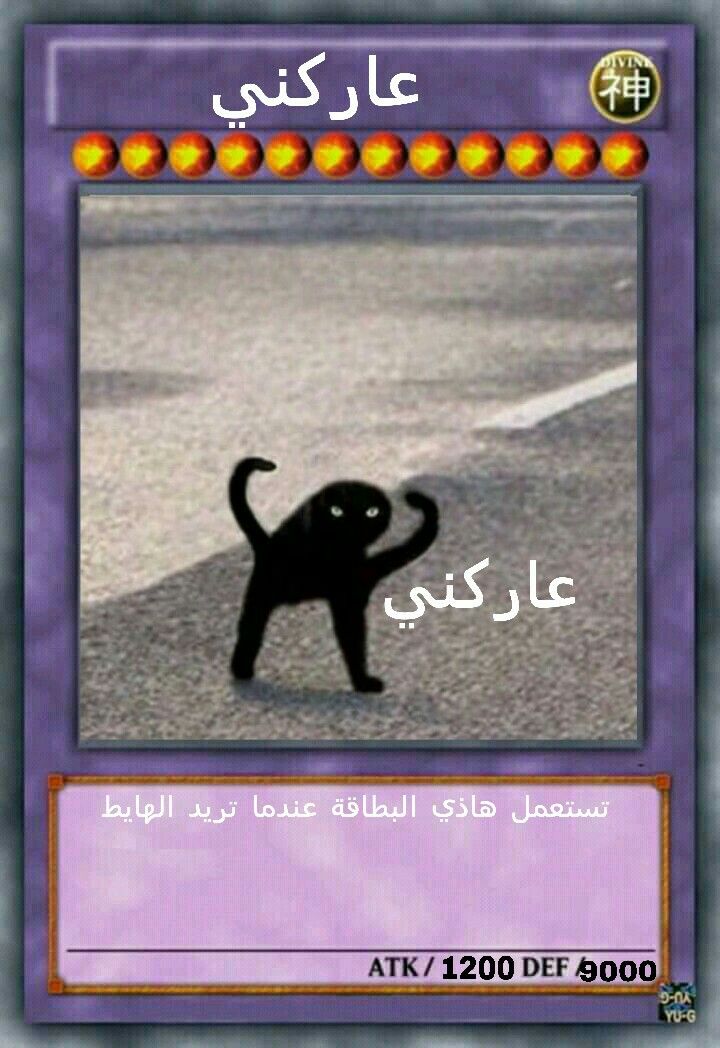 محمد | المحلّل✌️ tweet media