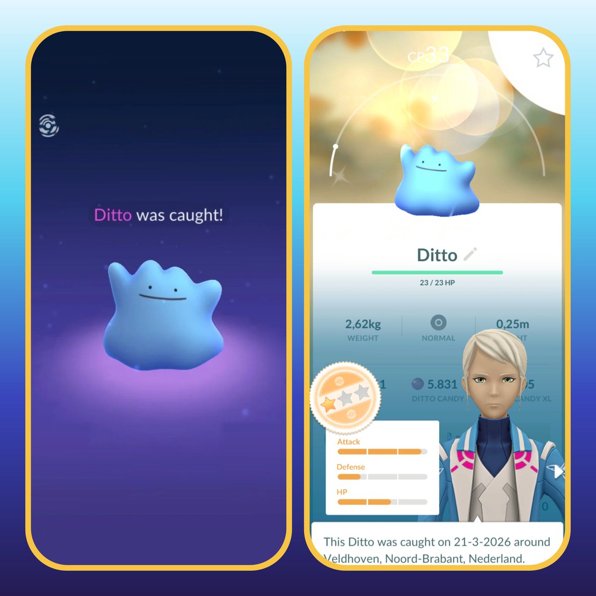 Aquatictoise tweet media