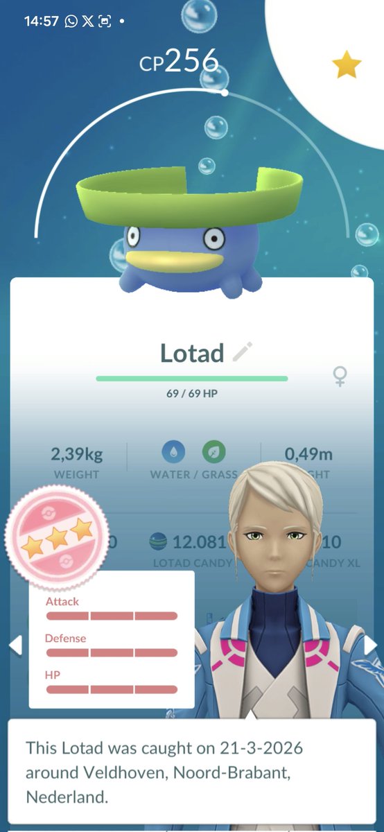 Aquatictoise tweet media