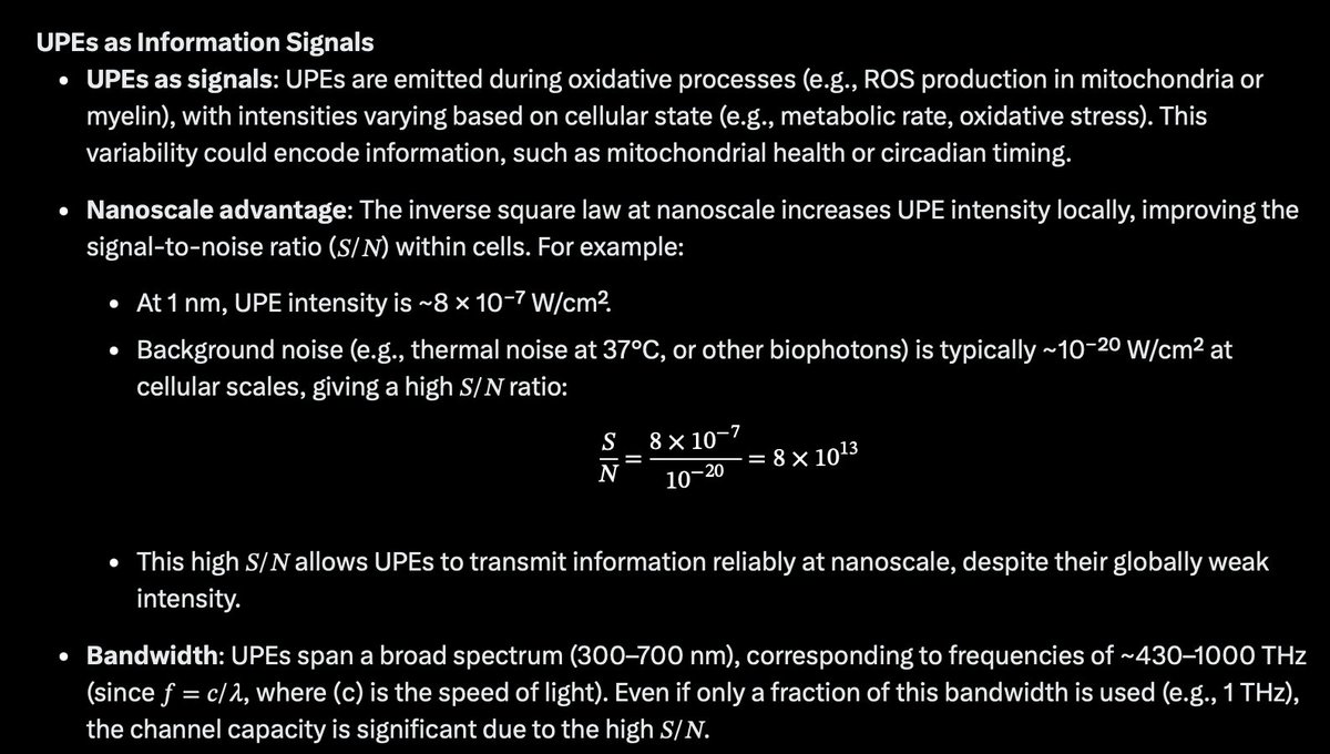 ☣️ Pleb Kruse = BTC foundationalist in exile 🟩🔆 tweet media