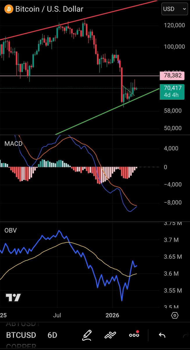 T. Cryptus tweet media