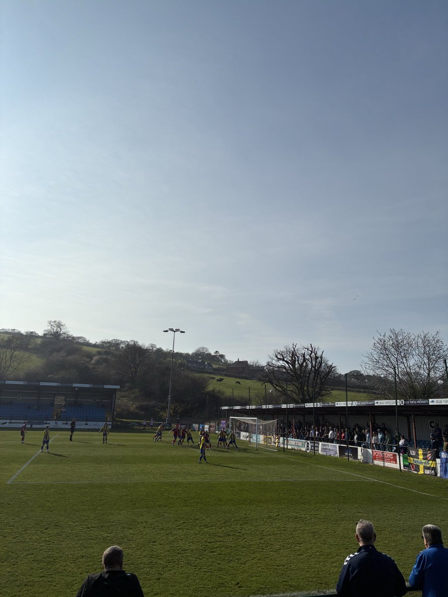 Elgan Jones tweet media