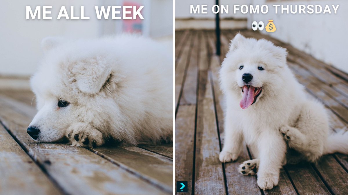 ShibaXa56s's tweet photo. Literally ME:
#FOMOThursdays #BitgetWalletSA @BitgetWalletSA https://t.co/EgrSsF6GD0