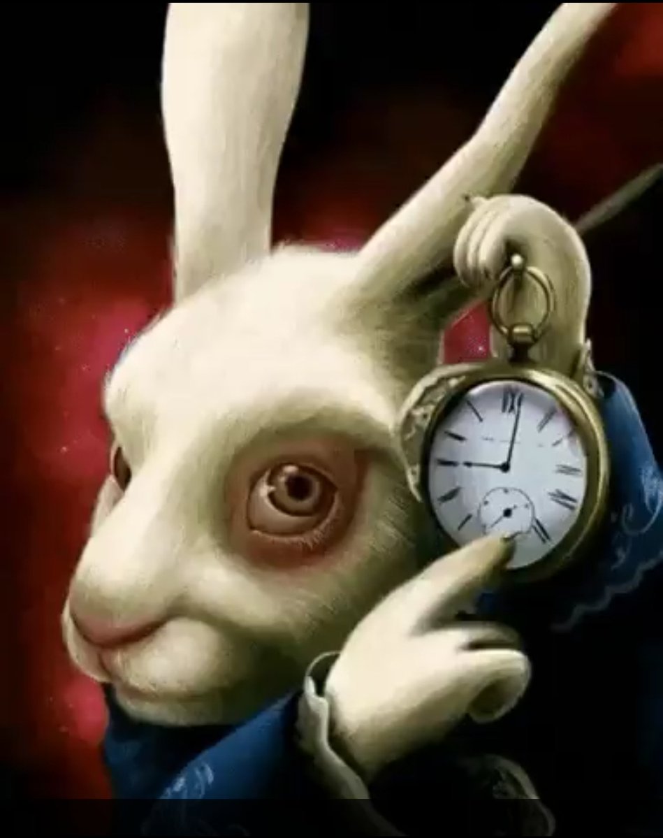 Thomas Benefield tweet media