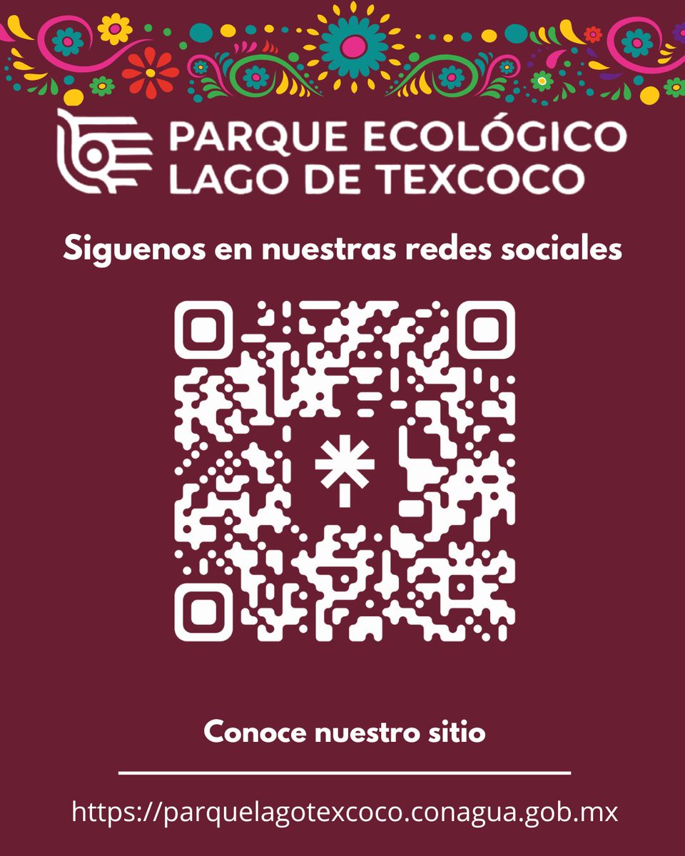 PELTexcoco's tweet photo. No olvides seguirnos y visitar nuestra página web 🌐
En el siguiente enlace y código QR encontrarás todo lo que tenemos para ti 👀
¡Te esperamos! ✨ https://t.co/AdtOPVPi3A