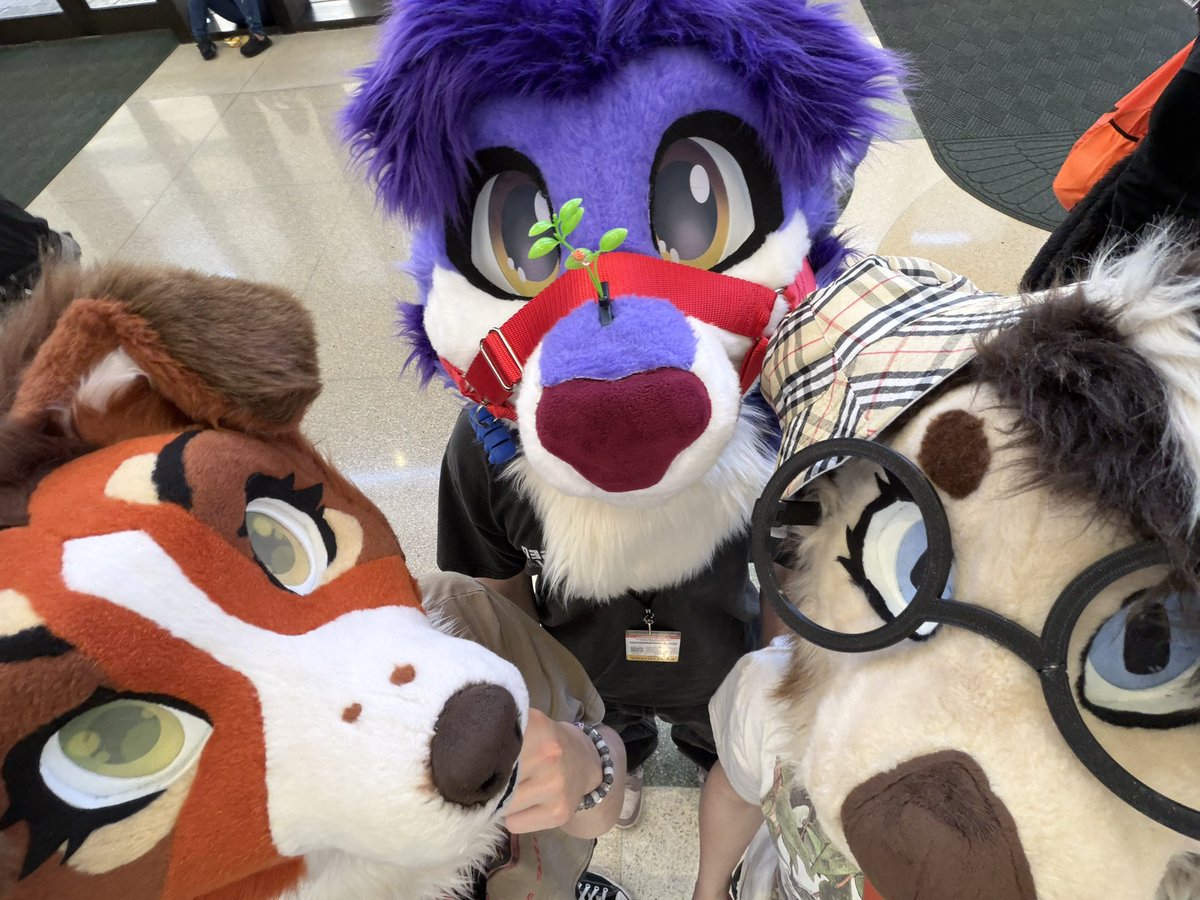 awta🦦 tweet media