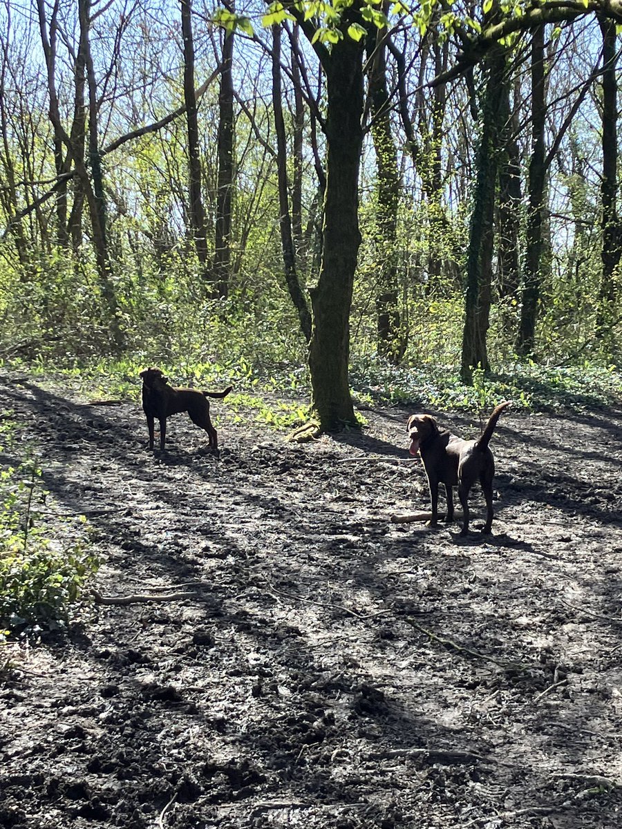 Anthony Goodwin tweet media