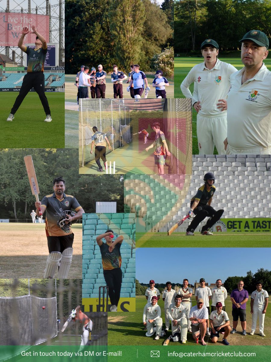 Caterham Cricket Club tweet media