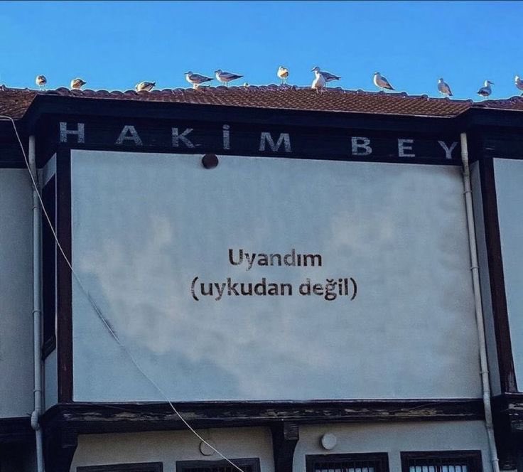 Karma Sanatı (@ononedebiyat) on Twitter photo 